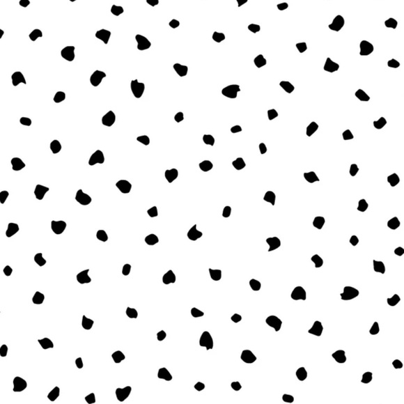 eclohecy